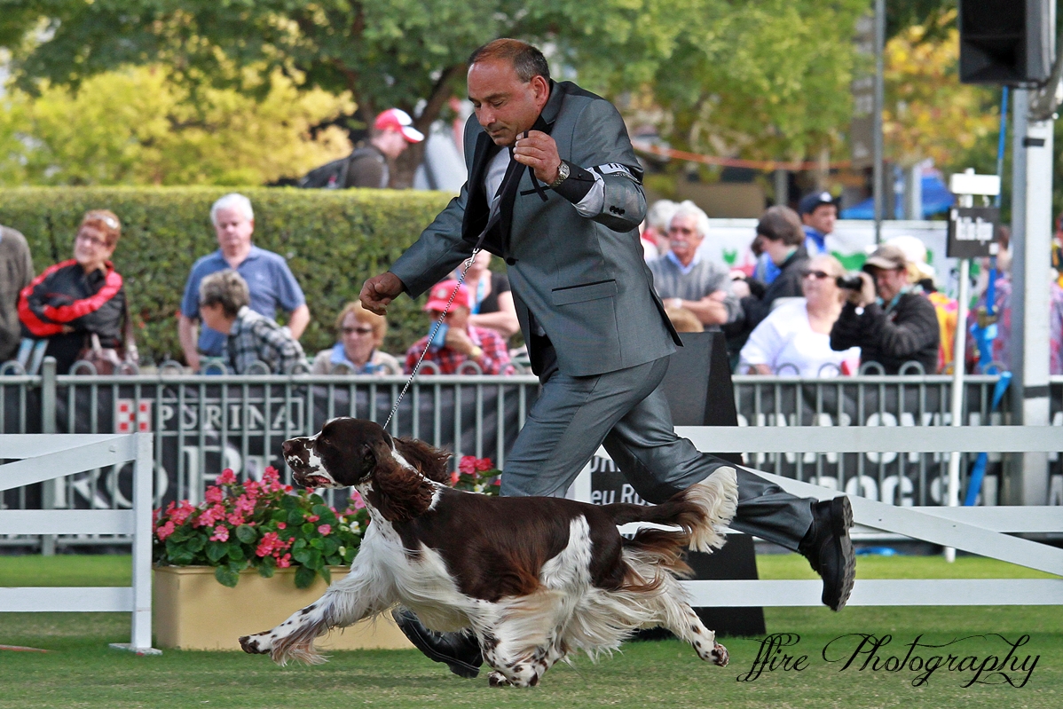 Sydney-Royal-2012.jpg
